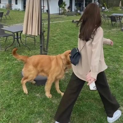 脱离者